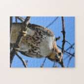 赤尾の鷹があなたを見ている ジグソーパズル (横)