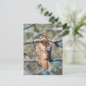 赤尾の鷹のガラスのはがき ポストカード (スタンド正面)