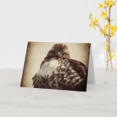 赤尾の鷹のグリーティングカード カード (黄色い花)