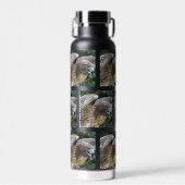 赤尾の鷹の写真パターン ウォーターボトル (正面)