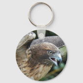 赤尾の鷹の写真 キーホルダー (正面)