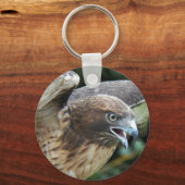 赤尾の鷹の写真 キーホルダー (正面)