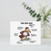 赤尾の鷹の漫画 ポストカード (スタンド正面)