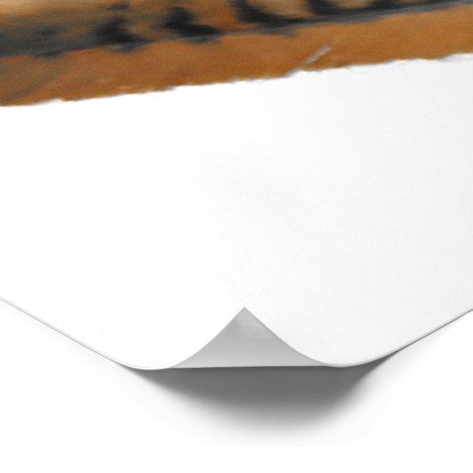 赤尾の鷹の羽 ポスター (角)