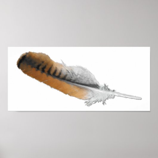 赤尾の鷹の羽 ポスター (正面)