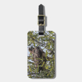 赤尾の鷹の荷札 ラゲッジタグ (正面縦)