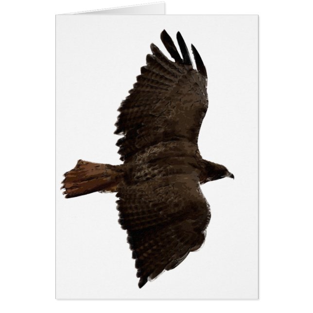 赤尾スケッチ (正面)