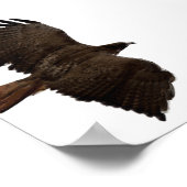 赤尾スケッチ ポスター (角)