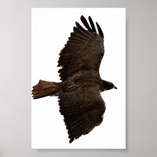 赤尾スケッチ ポスター (正面)