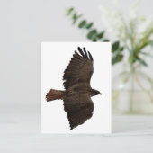 赤尾スケッチ ポストカード (スタンド正面)