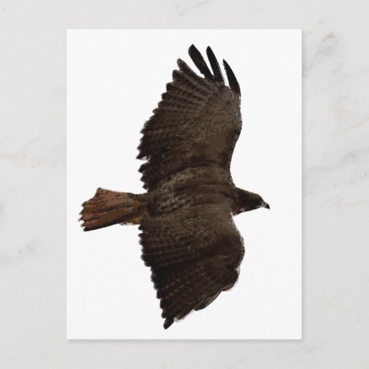 赤尾スケッチ ポストカード (正面)