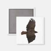 赤尾スケッチ マグネット (正面/裏面)