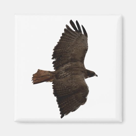 赤尾スケッチ マグネット (正面)