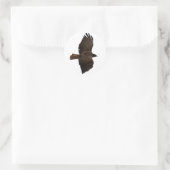 赤尾スケッチ ラウンドシール (バッグ)