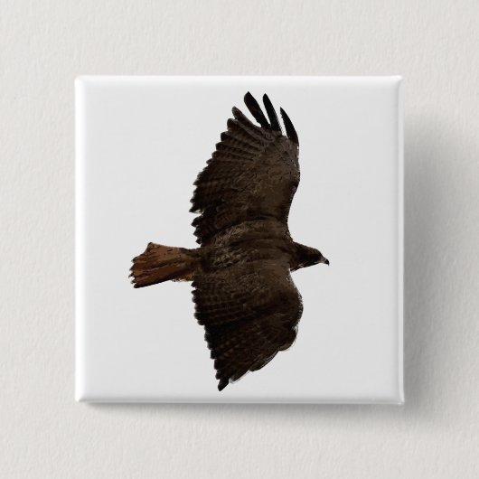 赤尾スケッチ 缶バッジ (正面)