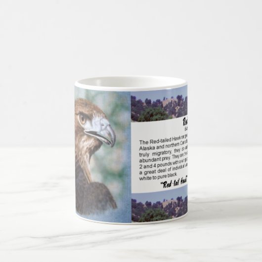 赤尾タカのエアブラシ コーヒーマグカップ (中央)