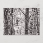 赤尾タカP8443 インビテーションポストカード (正面)