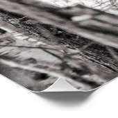 赤尾タカP8443 ポスター (コーナー)