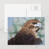 赤尾ホークのエアブラシ ポストカード (正面/裏面)