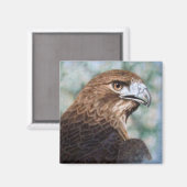 赤尾ホークのエアブラシ マグネット (正面/裏面)