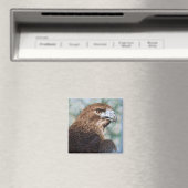 赤尾ホークのエアブラシ マグネット (インサイチュ (食洗機))