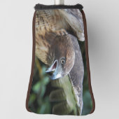 赤尾ホークのラプター写真 ゴルフヘッドカバー (回転90)