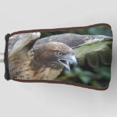 赤尾ホークのラプター写真 ゴルフヘッドカバー (正面)