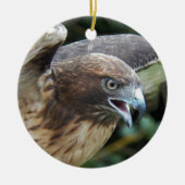 赤尾ホークのラプター写真 セラミックオーナメント (正面)