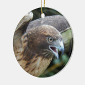 赤尾ホークのラプター写真 セラミックオーナメント (左)