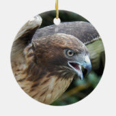 赤尾ホークのラプター写真 セラミックオーナメント (裏面)