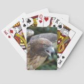 赤尾ホークのラプター写真 トランプ (裏面)