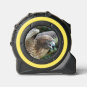 赤尾ホークのラプター写真 メジャー (正面)