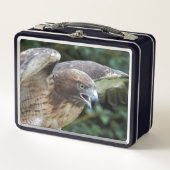 赤尾ホークのラプター写真 メタルランチボックス (正面)