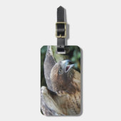 赤尾ホークのラプター写真 ラゲッジタグ (正面縦)