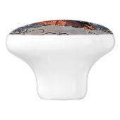 赤尾ホークカスタムセラミックノブ セラミックノブ (側面)