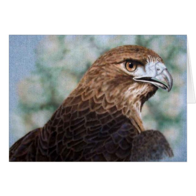 赤尾ホークカード (正面横)