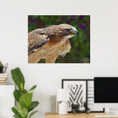 赤尾ホークポートレート ポスター (ホームオフィス)