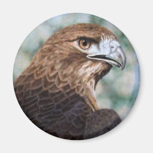 赤尾ホーク磁石 マグネット (正面)