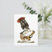 赤尾ホークJohn James Audubon Birds America ポストカード (スタンド正面)
