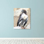 赤尾威厳のあるホークキャンバスプリント キャンバスプリント (インサイチュ (ウッドフロア))