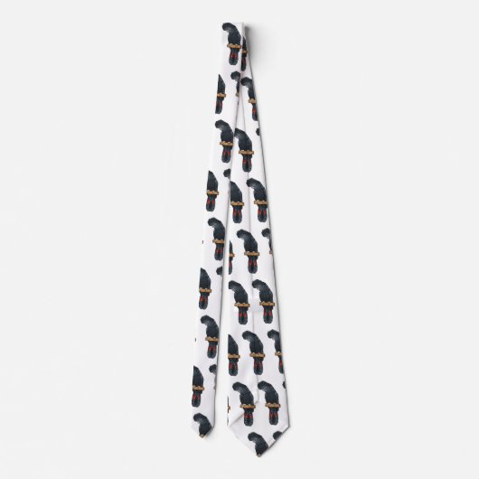 赤尾黒尾尾鳥まんが ネクタイ (裏面)