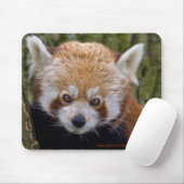赤山賊マウスマット マウスパッド (マウス)