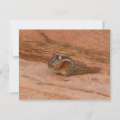 赤岩のシオン・チムンク (正面)