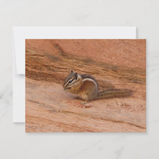 赤岩のシオン・チムンク (正面)