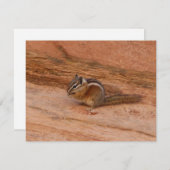 赤岩のシオン・チムンク (正面/裏面)