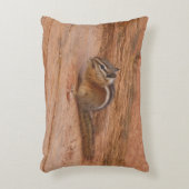 赤岩のシオン・チムンク アクセントクッション (正面(垂直))