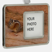 赤岩のシオン・チムンク シルバープレートフレームオーナメント (右)