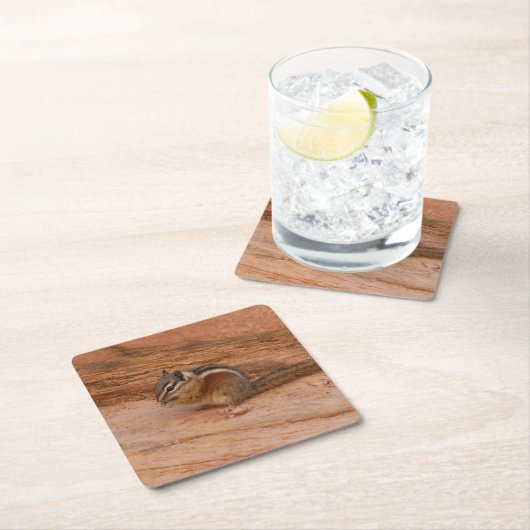 赤岩のシオン・チムンク スクエアペーパーコースター (インサイチュ)