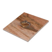 赤岩のシオン・チムンク タイル (側面)