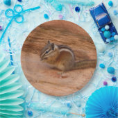 赤岩のシオン・チムンク ペーパープレート (パーティー)